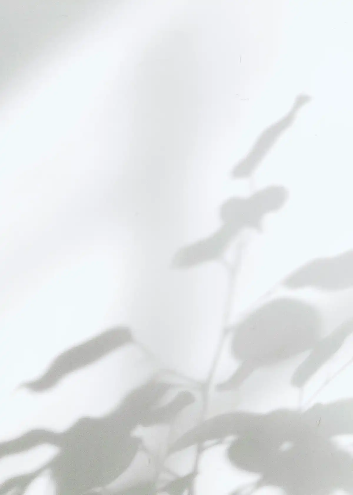 legs against light
